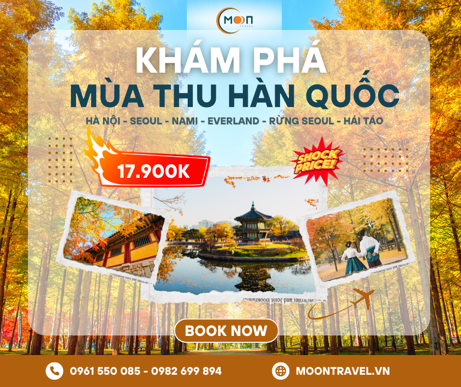 HÀ NỘI - SEOUL - NAMI - EVERLAND - RỪNG SEOUL - HÁI TÁO